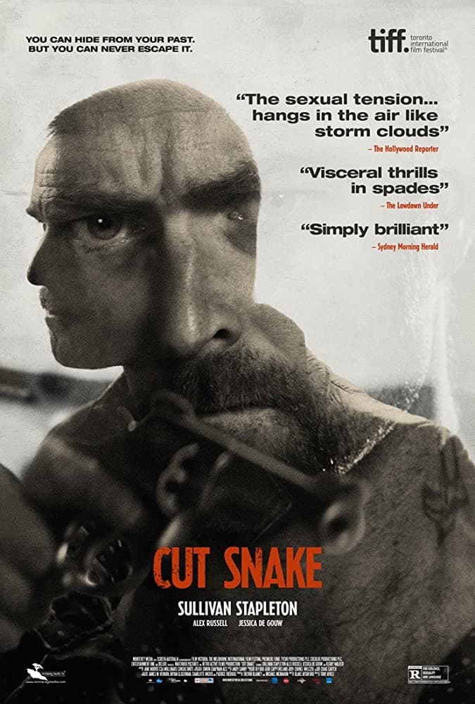 постер Раненый змей
